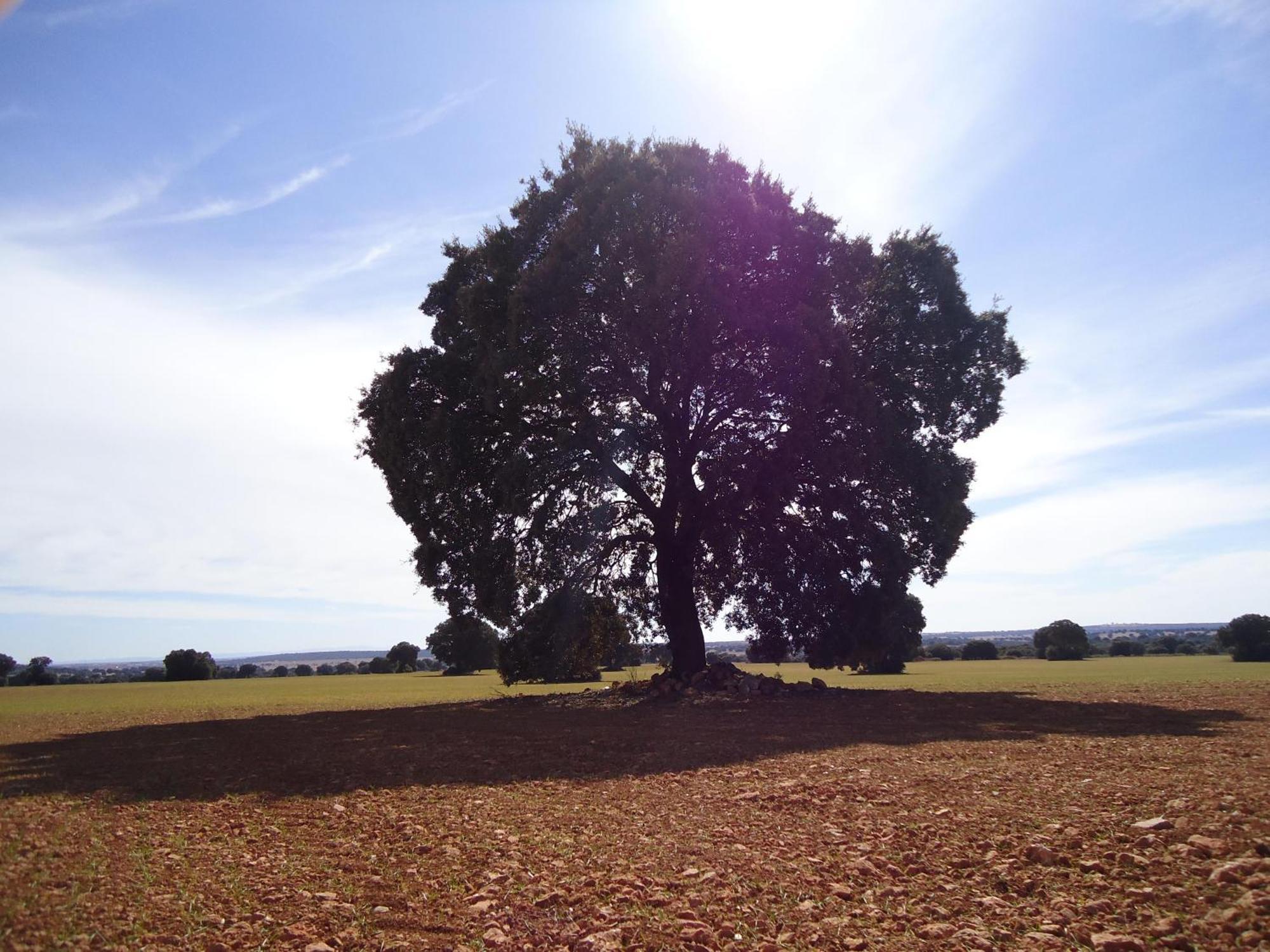 Villa Cerro Moreno Ossa de Montiel Buitenkant foto